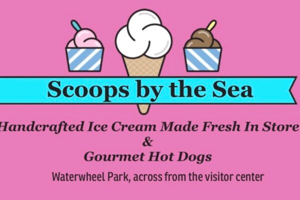 Scoops by the Sea