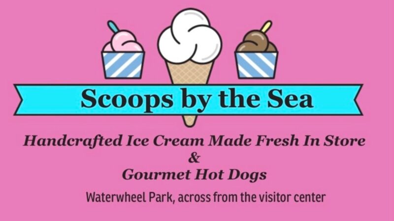 Scoops by the Sea