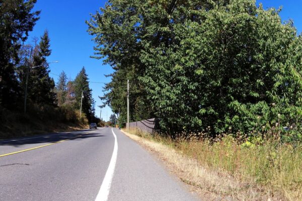 Lowe Cost Automotive